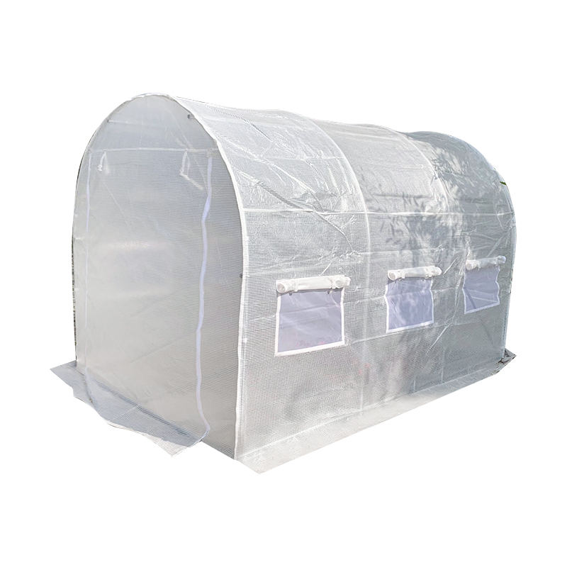 الدفيئة مقابل Polytunnel: ما هو الهيكل المتنامي الذي يعد أفضل استثمار للعائد على مدار العام؟