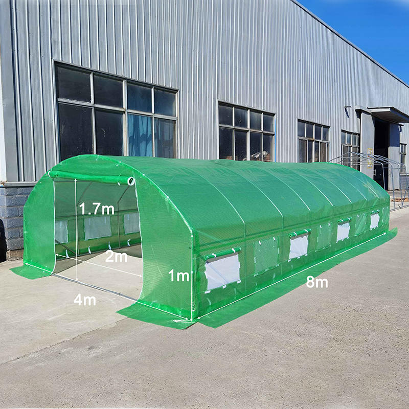 4×8×2 متر أنفاق رقائق معدنية، البيوت البلاستيكية والأنفاق البلاستيكية عالية مع قمة مستديرة